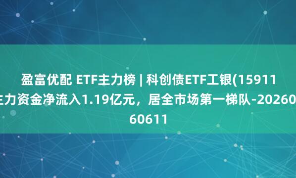 盈富优配 ETF主力榜 | 科创债ETF工银(159116)主力资金净流入1.19亿元，居全市场第一梯队-20260611
