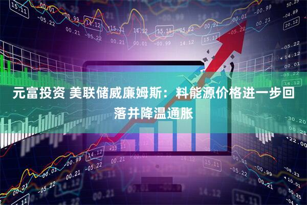 元富投资 美联储威廉姆斯：料能源价格进一步回落并降温通胀